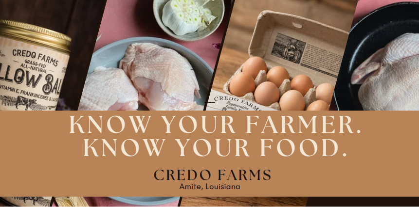 Mobile pasture coop with free-ranging hens at Credo Farms in Amite, Louisiana