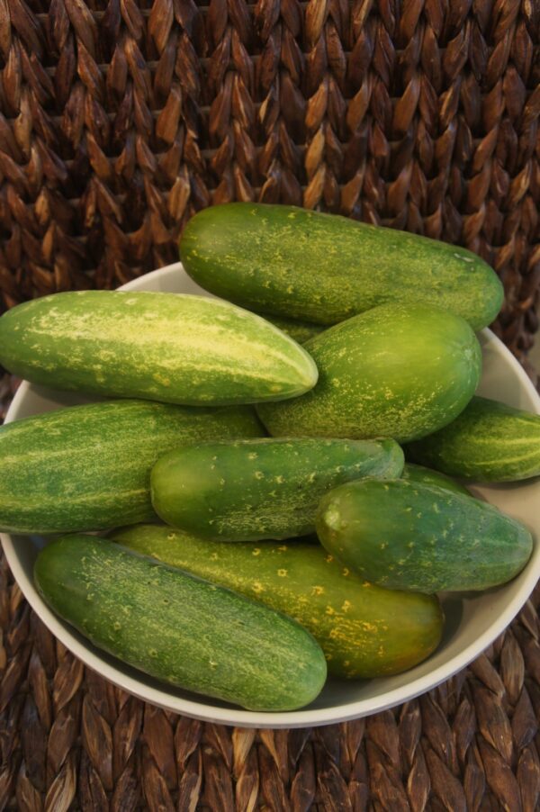 Cucumbers