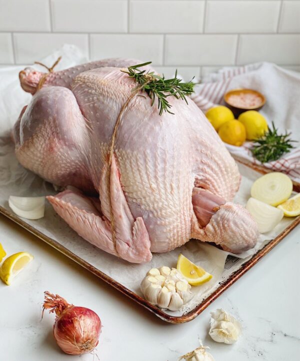 Pasture-Raised Turkey