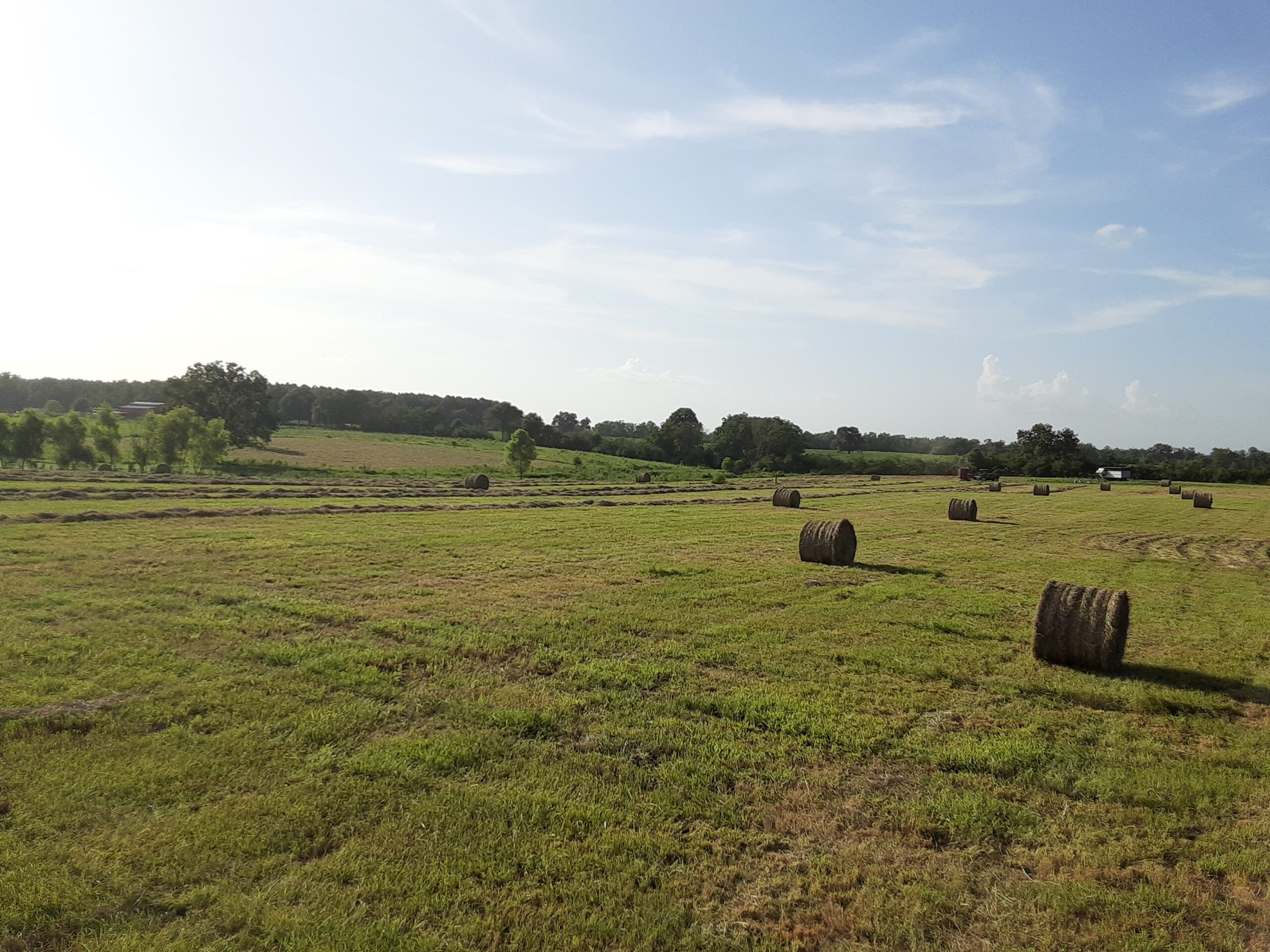 Hay for Sale at Credo Farms